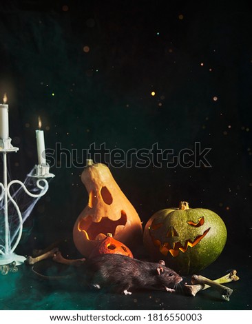 Halloween background. Spooky pumpkin glow in the dark. Halloween design with copyspace