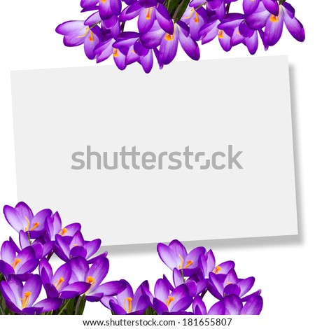 Abstract background for design. Flowers background.