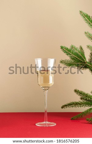 Happy new year 2021. New year, Christmas background. A glass of wine, a branch of the tree. Copy space. Minimalism.