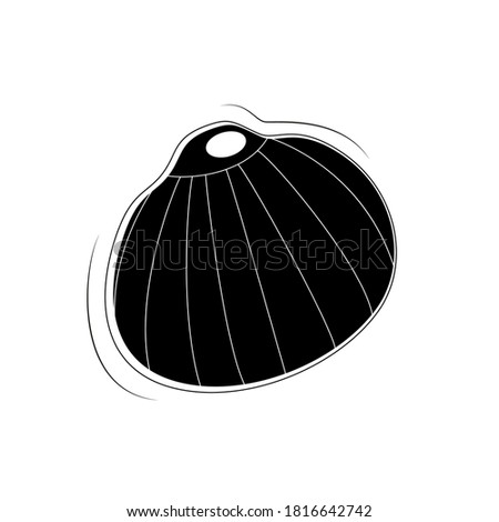Black sea shell icon vector illustration isolated on white background