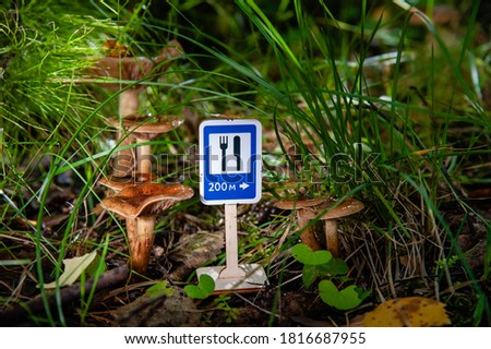 Toy road sign "Food point" in green grass against the background of chanterelle mushrooms in an autumn day. Close up. Nutrition concept. Copy space