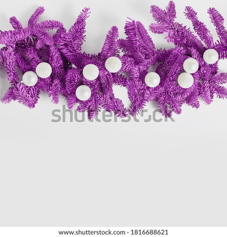 Holiday concept. purple spruce branches are decorated with white balls. copy space, flat lay, square frame.