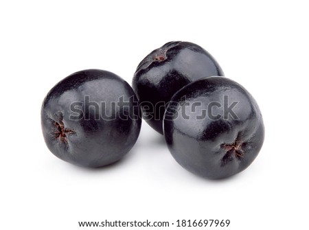 Aronia melanocarpa (black chokeberry) isolated on white background Royalty-Free Stock Photo #1816697969