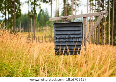 Pheromone trap against ips typographus in the middle spruce forest. The European spruce bark beetle Ips typographus, is a species of beetle in the weevil subfamily Scolytinae, the bark beetles. Royalty-Free Stock Photo #1816703627