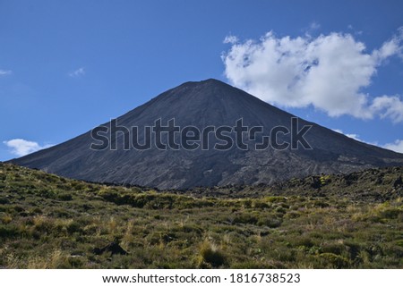 Green alpine meadow and pink flowers against a background of the active volcano Mount Ngauruhoe, Tongariro, North Island, New Zealand