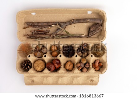 kit for crafts made from natural materials, acorns, chestnuts, cones and other forest materials, autumn flat lay, Royalty-Free Stock Photo #1816813667