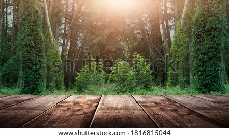 Wooden table in the woods, sleepy light. Empty wooden table top on nature background. Royalty-Free Stock Photo #1816815044