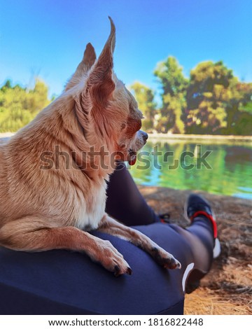 Photo taken at the source of the Arbuniel River, in a small town in Jaen, Andalusia, around 1pm. In the picture we can see my dog called Duque, visualizing some ducks that were in that pond.