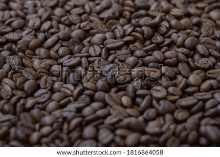 Fresh brown coffee beans structure in the background close up