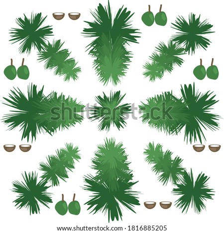 Vector illustration of palm fauns, green coconuts and opened brown  coconuts on a white background.