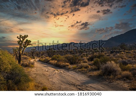 This beautiful outdoor image captures a golden sky right before sunset in a remote desert landscape.  Royalty-Free Stock Photo #1816930040