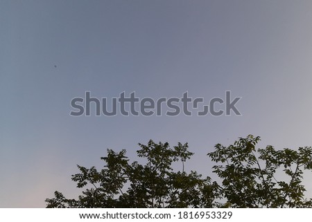 Beautiful views of the blue sky, clouds, trees and leaves in indonesian. Usable for background, wallpaper, cover, etc