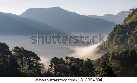valley and mist at morning time in Thailand 