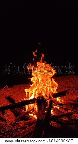 Blazing fire in a bonfire