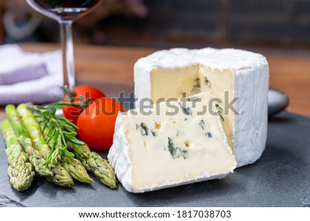 French cheeses collection, piece of Le Bleu cow milk soft blue cheese with white mold close up