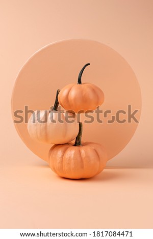 Creative Fall layout made of pumpkins. Autumn, Halloween or Thanksgiving season concept. Flat lay.