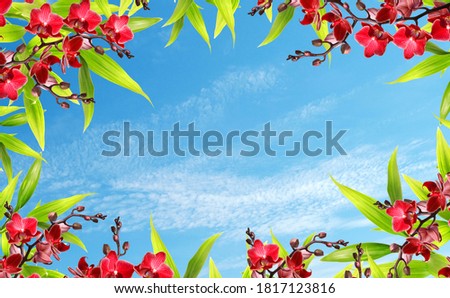 blue sky and spring flowers