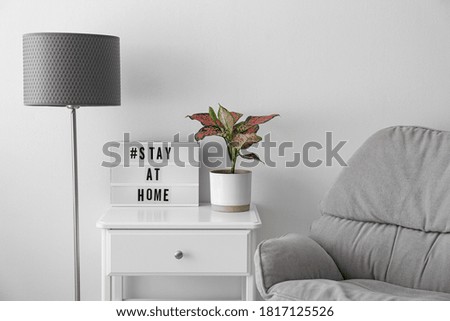 Houseplant and lightbox with hashtag STAY AT HOME on table indoors. Message to promote self-isolation during COVID‑19 pandemic