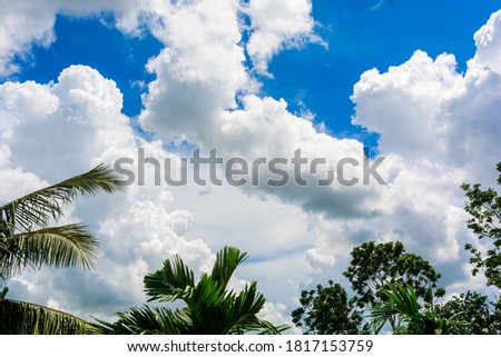 Beautiful white fluffy clouds in the blue sky of autumn.