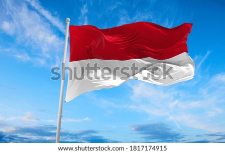 Large Monaco flag waving in the wind