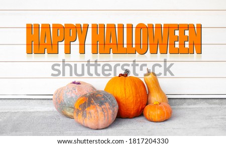 Text of Happy Halloween near orange pumpkins on the background of white wall with lines.