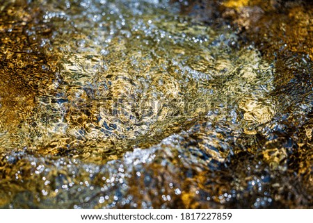 River water with in the forest blurred abstract background.