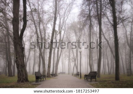 cozy benches in a city foggy park in the fall. Gomel, Belarus Royalty-Free Stock Photo #1817253497