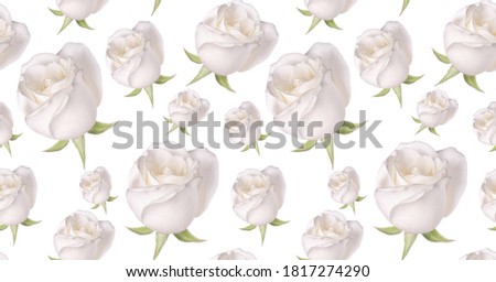 White rose pattern. A beautiful background for your projects.