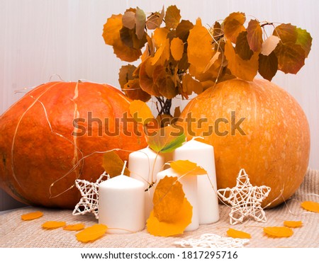 Autumn home decor. Autumn entourage of Pumpkins, candles, leaves. Blank for design. The idea of the interior.