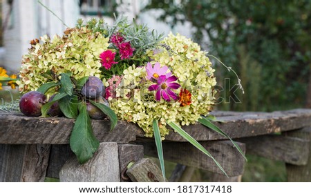 A bouquet of green hydrangea with different garden flowers and a harvest of plums. Still life in the garden on wooden boards