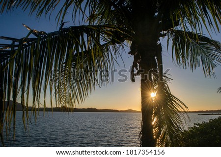 sunrise behind the the coconut on the lake Royalty-Free Stock Photo #1817354156