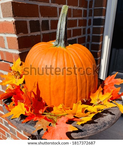 A picture of a pumpkin with fall leaves.