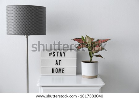 Houseplant and lightbox with hashtag STAY AT HOME on table indoors. Message to promote self-isolation during COVID‑19 pandemic