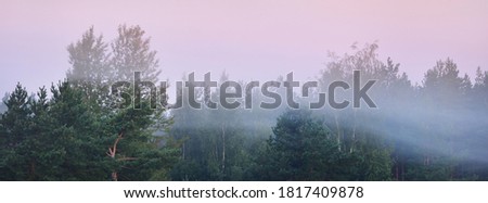 Evergreen forest in a morning fog. Picturesque panoramic scenery. Atmospheric landscape. Pure nature, ecology, environmental conservation, eco tourism. Fairytale, silence, loneliness