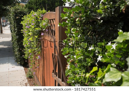 wooden door with plants in La Jolla, San Diego, California 