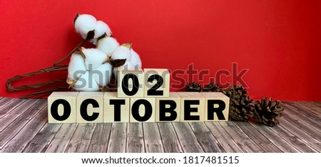 October 2.October 2 on wooden cubes.Vase with cotton on a red background.Autumn .Calendar