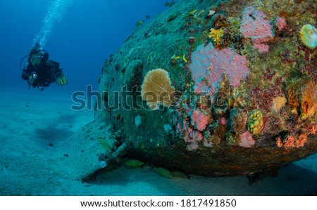Women diver explores the wrecks at the Bridge dive site on the island of Sint Maarten, Dutch Caribbean Royalty-Free Stock Photo #1817491850