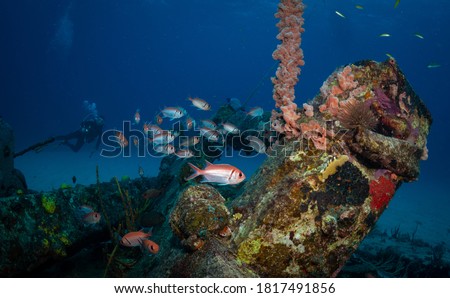 Women diver explores the wrecks at the Bridge dive site on the island of Sint Maarten, Dutch Caribbean Royalty-Free Stock Photo #1817491856