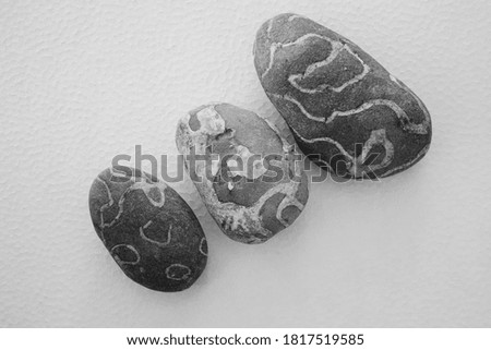 Black and white Photo Set Natural stones Central stone on light  background
