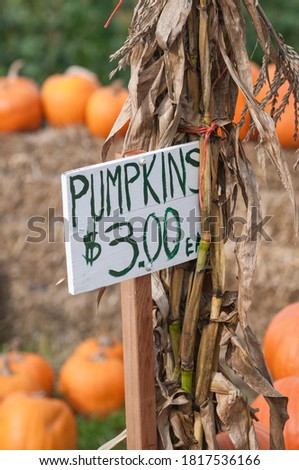 Homemade sign advertising pumpkins for sale at local roadside farm stand pumpkin patch. Bales of hay.