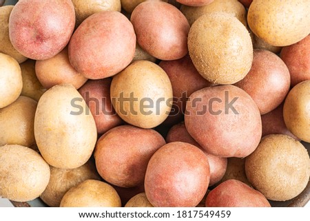 A macro shot or extreme close-up of raw and fresh baby potatoes.