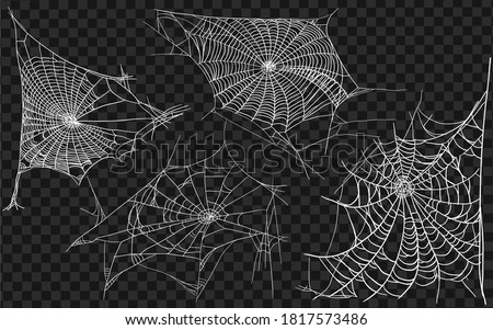 Set of different spiderwebs isolated on black, easy to print. Halloween set with web. Vector Illustration. Royalty-Free Stock Photo #1817573486