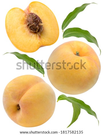Fresh Golden Peach fruits on white background, Honey Yellow Peach fruits isolated on white background With clipping path