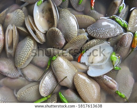 Undulate venus or saltwater clam is a popular food in most Asian countries , Stir Fried Clams in Chili Paste in Thailand, an ingredient of mixed seafood dishes in Japan, Clam curry in India