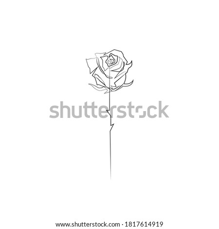 Continuous line drawing of rose flower vector