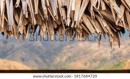Close up of thatch roof with blurred mountain background, dry leaves roof
