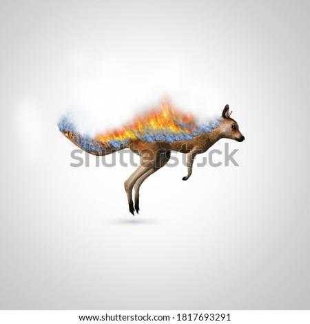 Pray For Australia. Australia wildfire killed half a billion animals. Save animal - save tree-save forest save world. animals burned by wildfire. climate change effect. Royalty-Free Stock Photo #1817693291