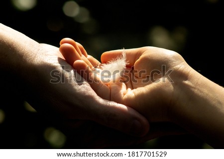 White feather in the palm of a childs hand in the palm of a mothers hand  Royalty-Free Stock Photo #1817701529