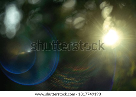 Round bokeh and sun rays soft focus