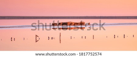 panorama of sunrise around pink lake with golden island and old wooden trunks in calm water